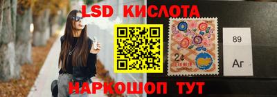 стаф Донецк