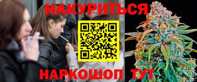 стаф Донецк