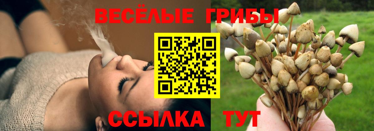 Новоуральск  Галлюциногенные грибы Psilocybine cubensis  Галлюциногенные грибы GOLDEN TEACHER  закладка  Вход с VPN 